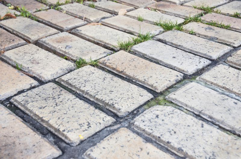 Brick Flatwork Repair in Lutz, FL