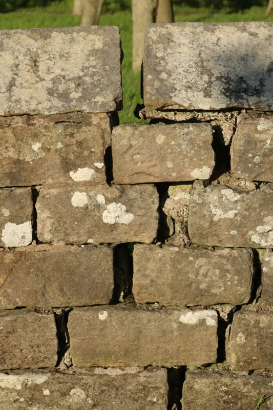 Stone Wall Repair in Hernando County, FL